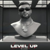 Level Up - Nijjar