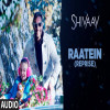 Raatein Reprise