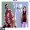 Tere Bina - Tony G