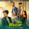 Teri Nazar