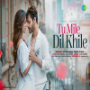 Tu Mile Dil Khile