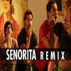 Senorita Remix