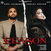 Reason - Gopi Talwara