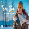 Tere Bin - Hashmat Sultana