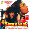 Shehzaade Title Track