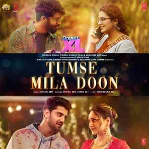 Tumse Mila Doon Poster