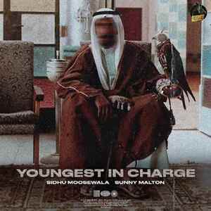 Youngest In Charge Poster