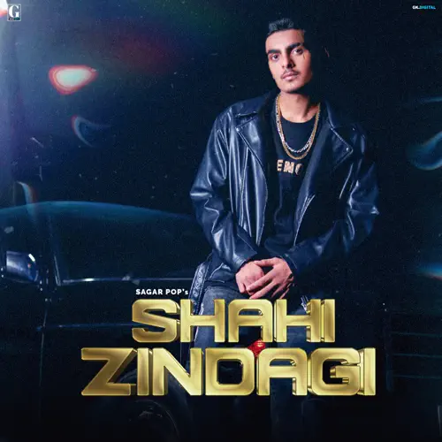 Shahi Zindagi Poster