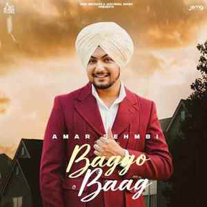 Baggo Baag Poster