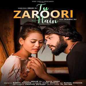 Tu Zaroori Hai Poster