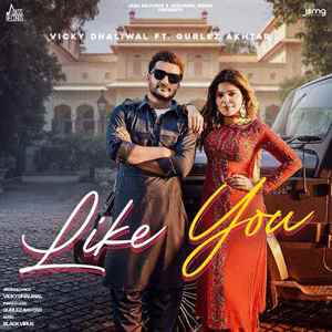 Like You - Vicky Dhaliwal Poster