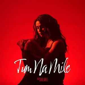 Tum Na Mile Poster