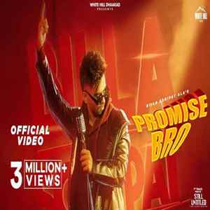 Promise Bro Poster