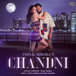 Chandni Poster