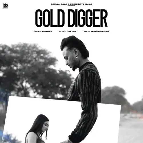 Gold Digger Poster