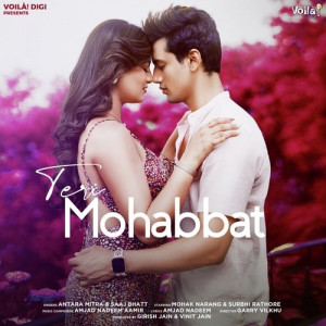 Teri Mohabbat Poster