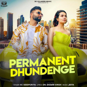 Permanent Dhundenge Poster