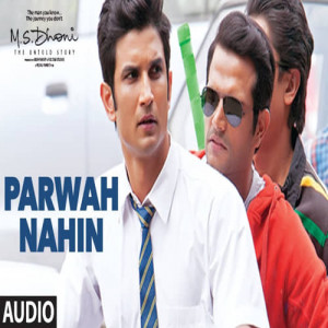 Parwah Nahin Poster