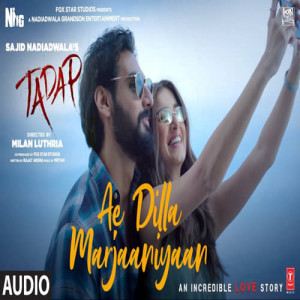 Ae Dilla Marjaaniyaan Poster