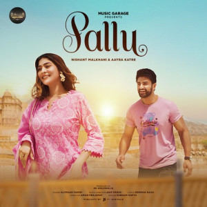 Pallu Poster