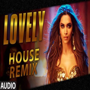 Lovely House Remix Poster