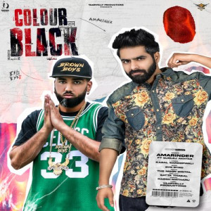 Colour Black Poster