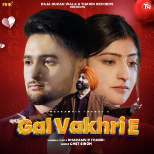 Gal Vakhri E Poster