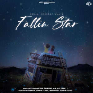 Fallin Star Poster