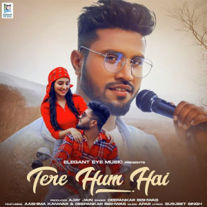 Tere Hum Hai Poster