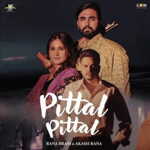 Pittal Pittal Poster