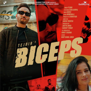 Biceps Poster