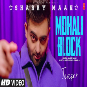 Mohali Block Poster