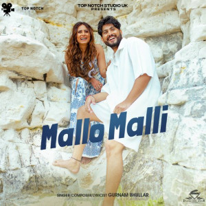 Mallo Malli Poster