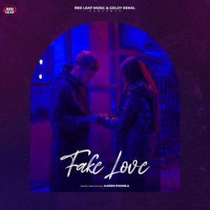 Fake Love - Aarsh Poohla Poster