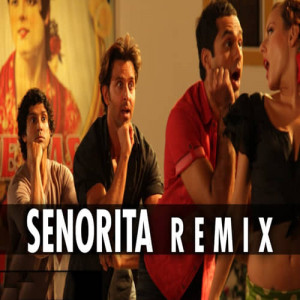 Senorita Remix Poster