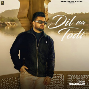 Dil Na Todi Poster