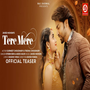 Tere Mere Poster