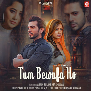 Tum Bewafa Ho Poster