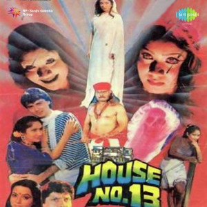 house no.13 poster