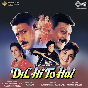 dil hi to hai poster