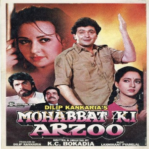 mohabbat ki arzoo 1994 poster