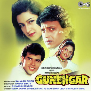 gunehgar 1995 poster