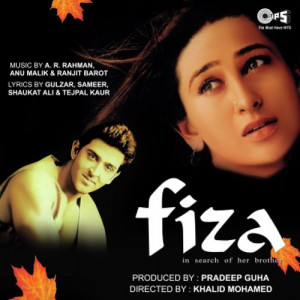 fiza poster