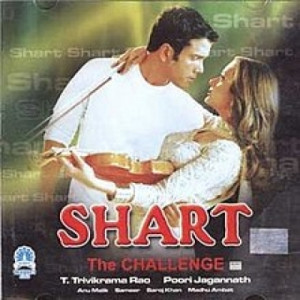 shart - the challenge poster