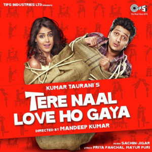 tere naal love ho gaya poster