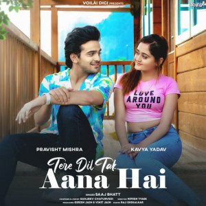 Tere Dil Tak Aana Hai Tere Dil Tak Aana Hai Poster