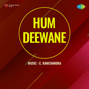 hum deewane poster