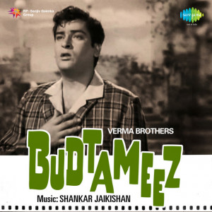 budtameez poster