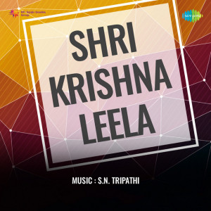 shri krishna leela poster