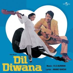 dil diwana poster